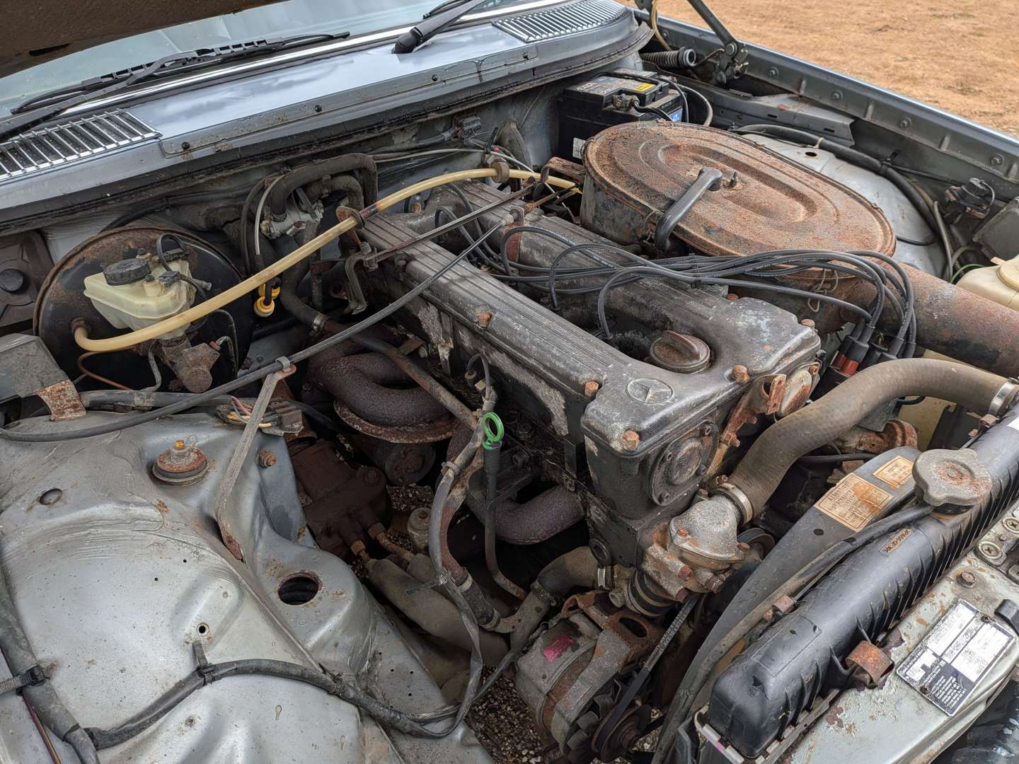 <p>1980 MERCEDES 280E W123</p>
