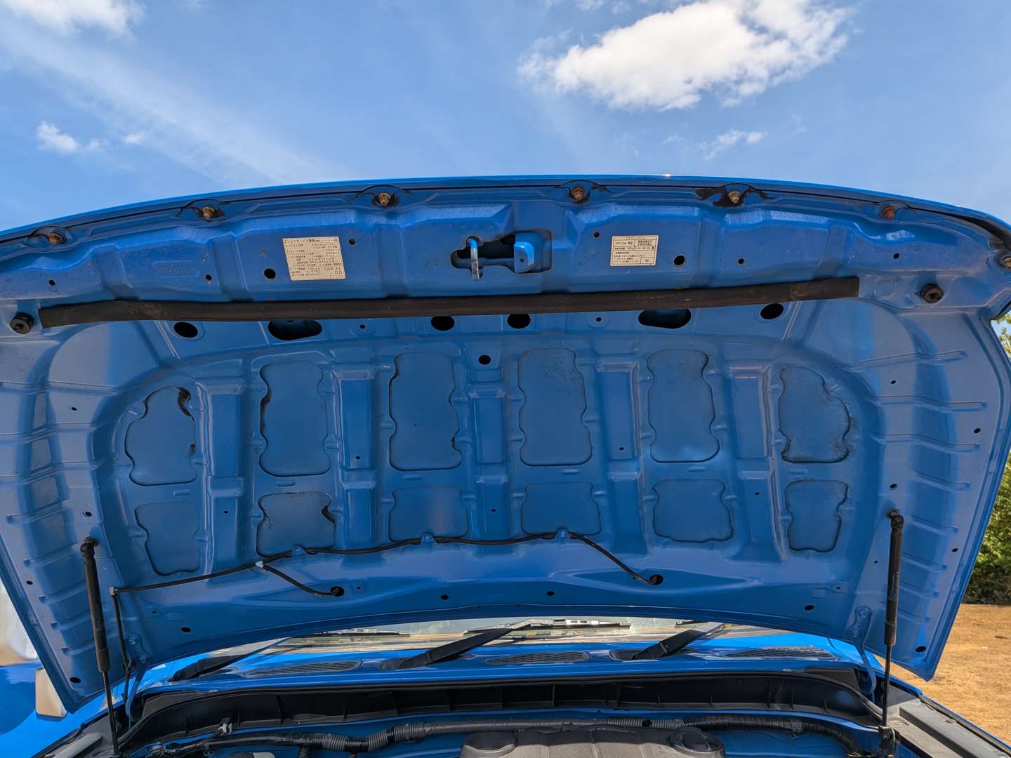 <p>2011 TOYOTA LAND CRUISER FJ</p>