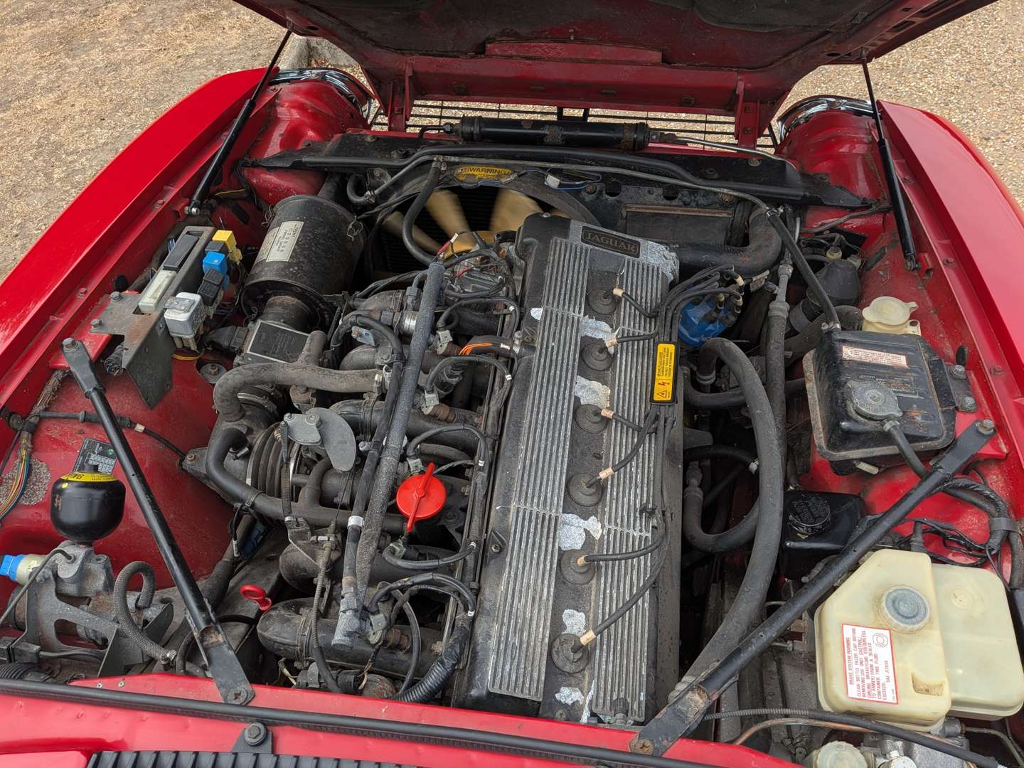 <p>1989 JAGUAR XJS 3.6 MANUAL</p>