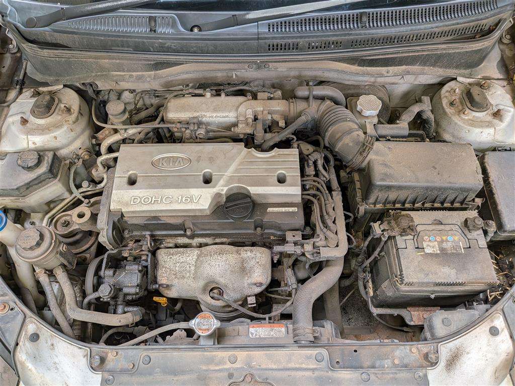 <p>2008 KIA RIO CHILL</p>