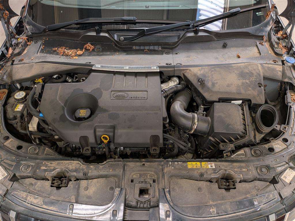 <p>2021 LAND ROVER R ROVER EVOQUE RDYN S D M</p>