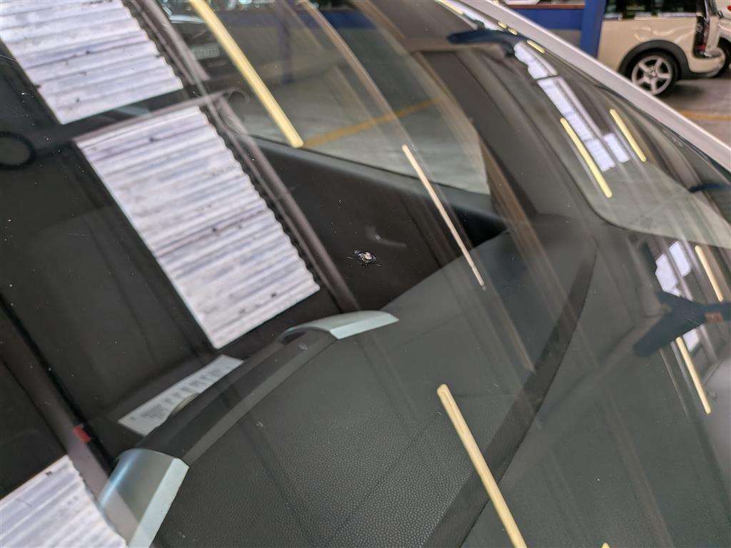 <p>2010 KIA VENGA 2</p>