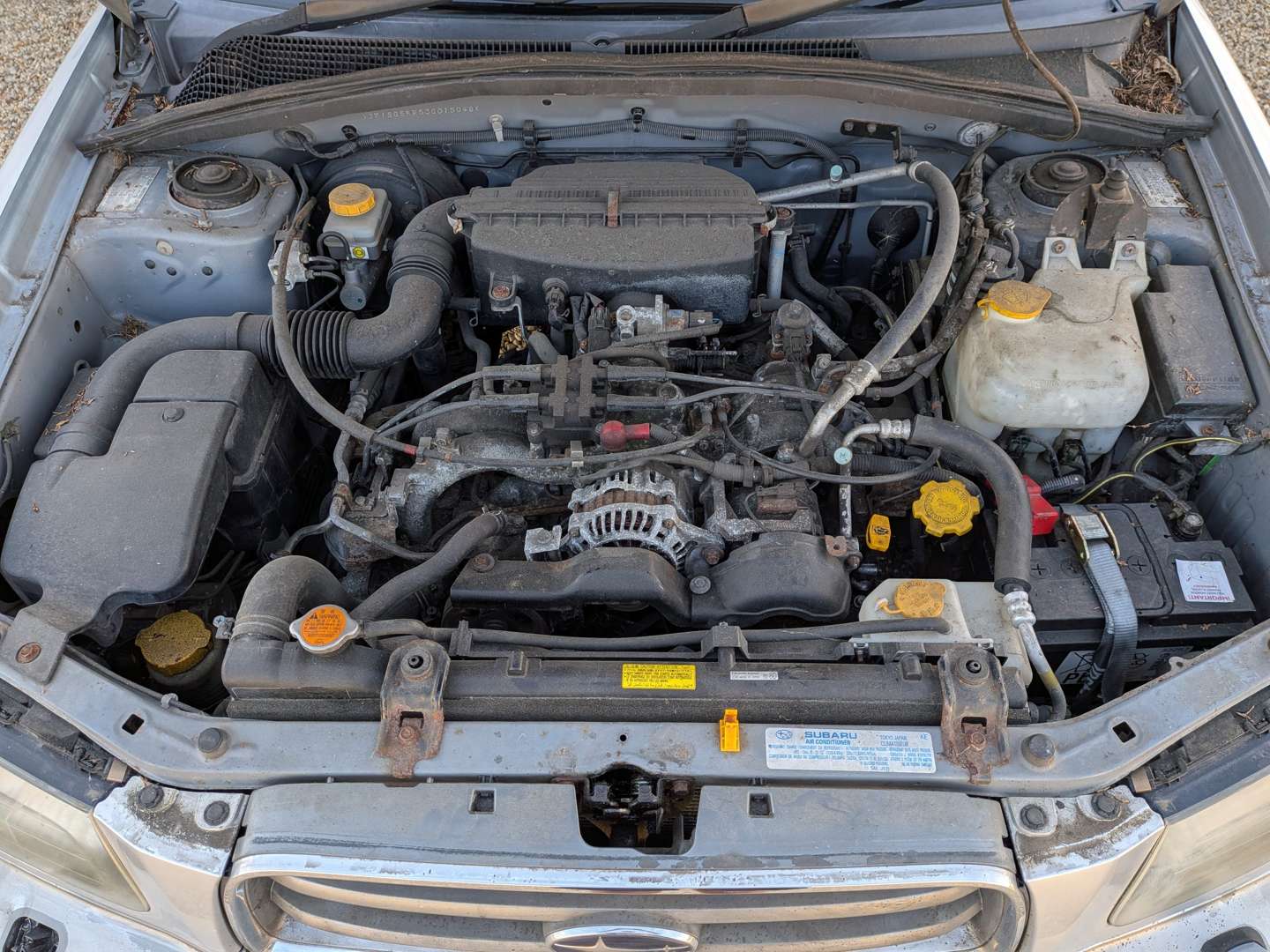 <p>2003 SUBARU FORESTER X ALL WEATHER</p>