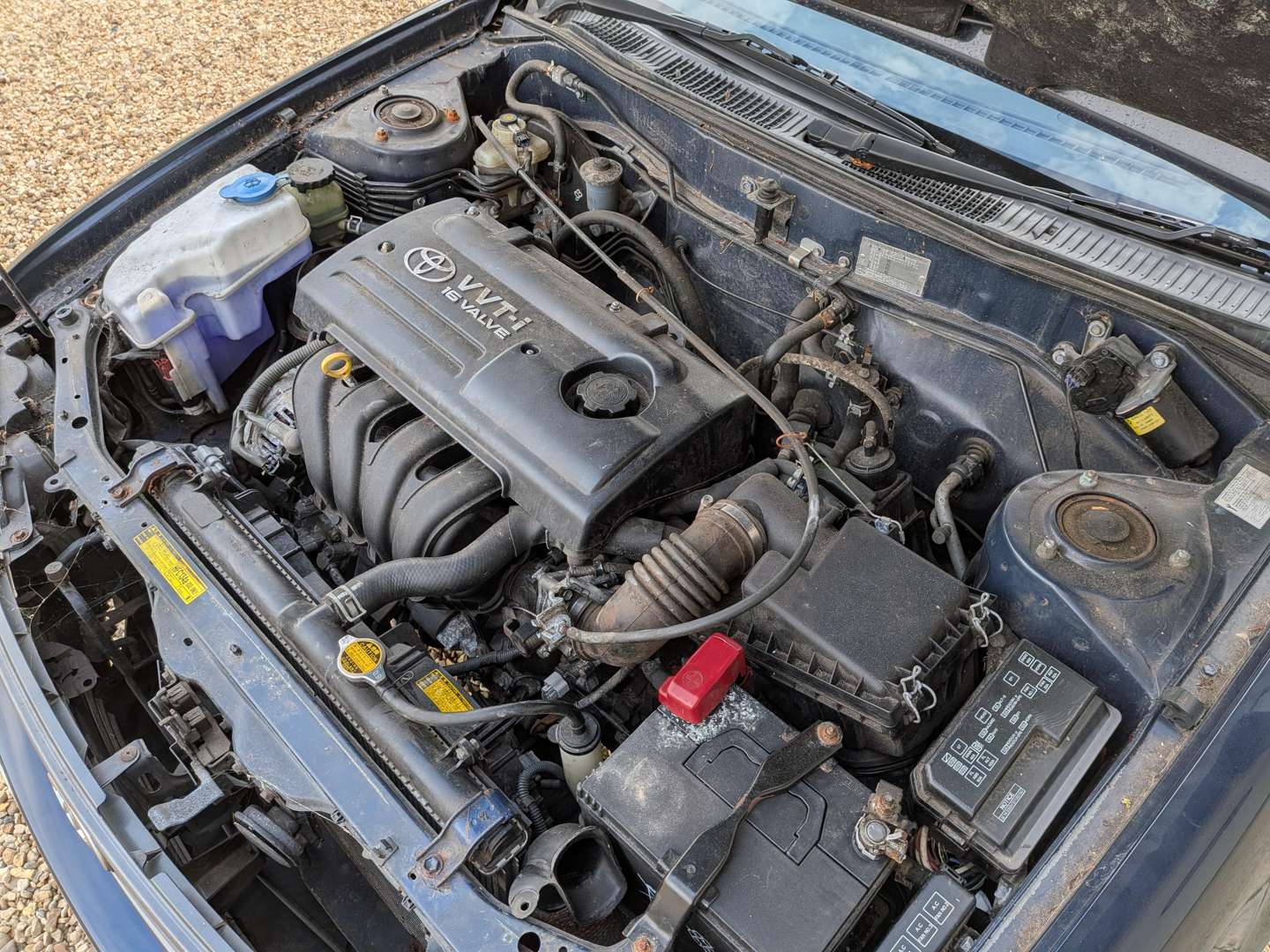 <p>2000 TOYOTA COROLLA VVTI GLS</p>
