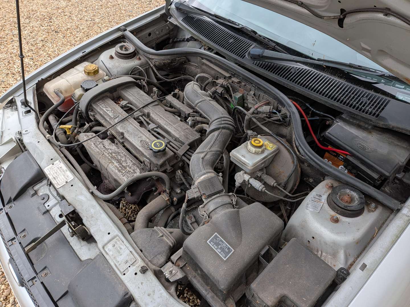 <p>2000 FORD ESCORT FLIGHT</p>