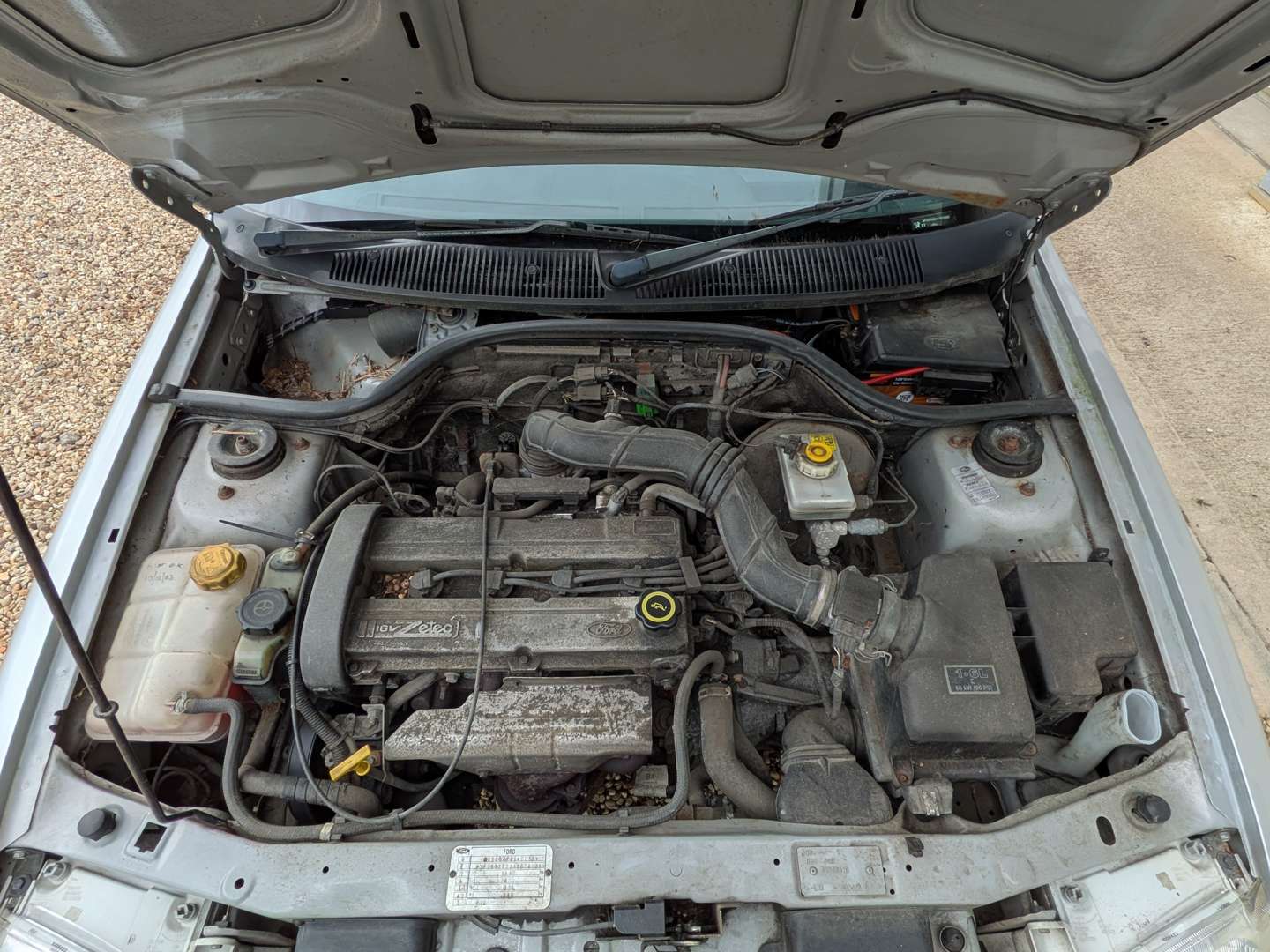 <p>2000 FORD ESCORT FLIGHT</p>