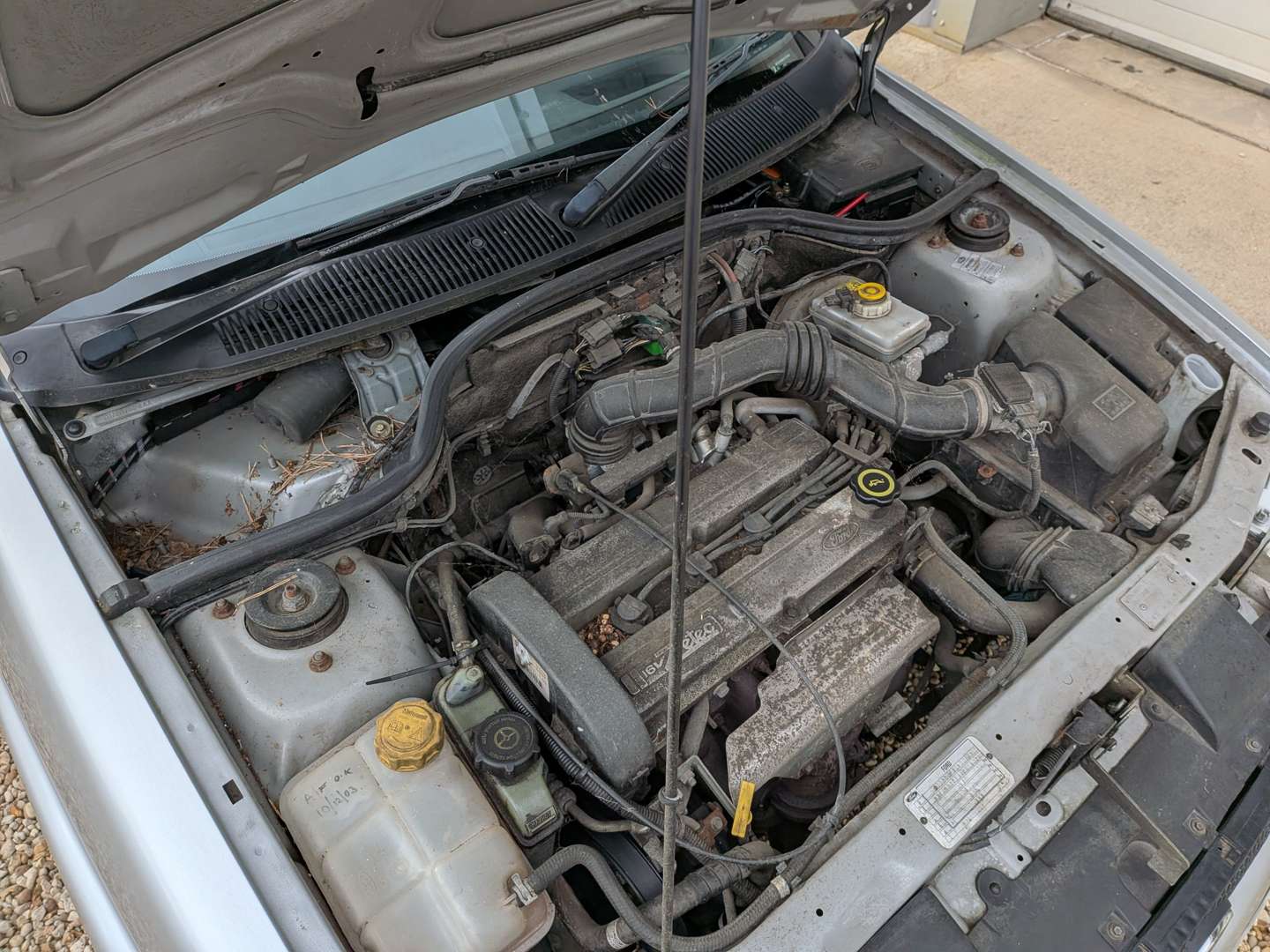 <p>2000 FORD ESCORT FLIGHT</p>