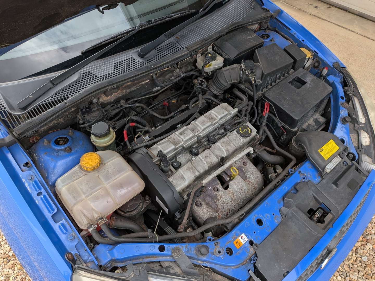 <p>2003 FORD FOCUS ST170</p>