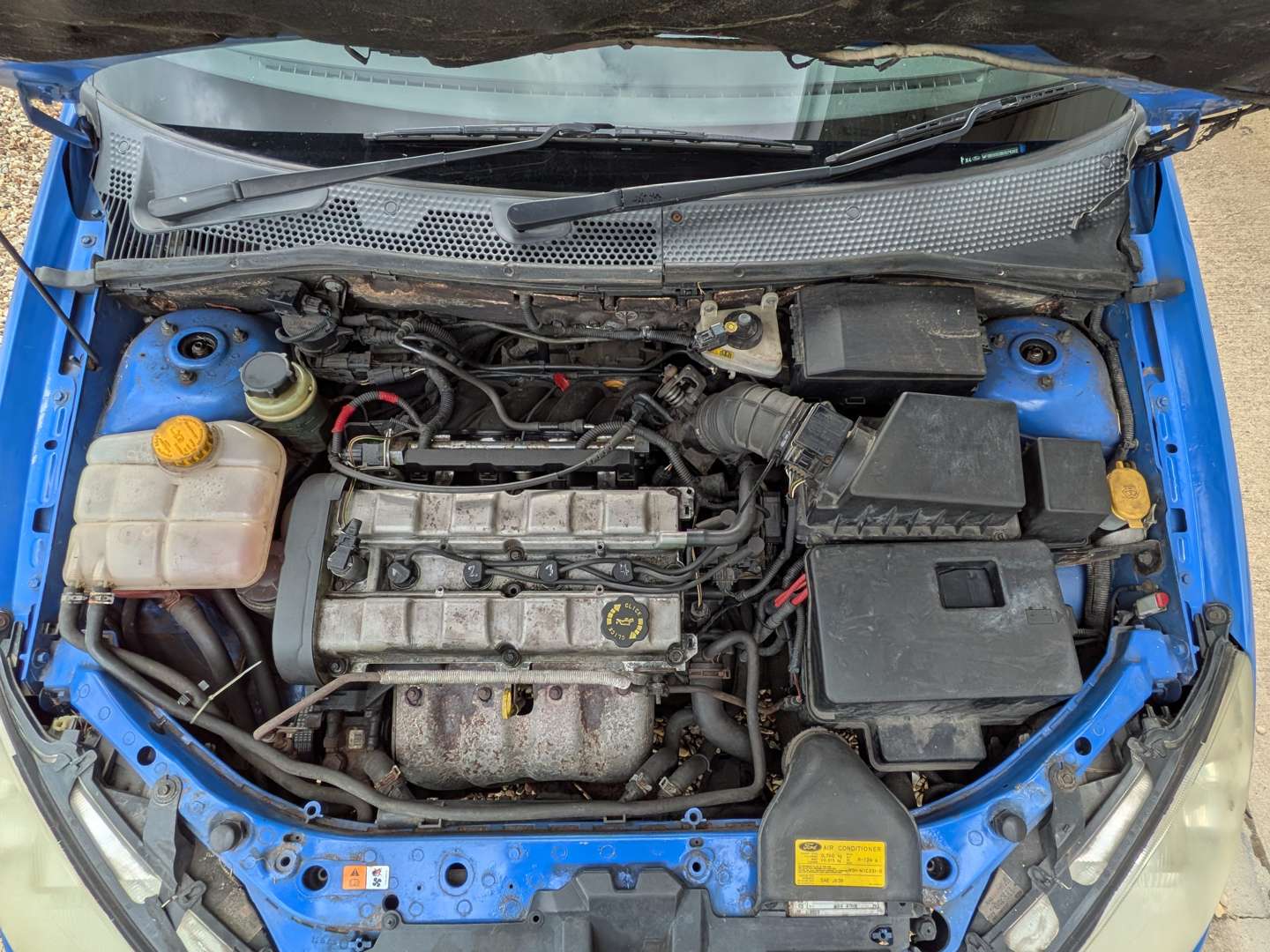 <p>2003 FORD FOCUS ST170</p>