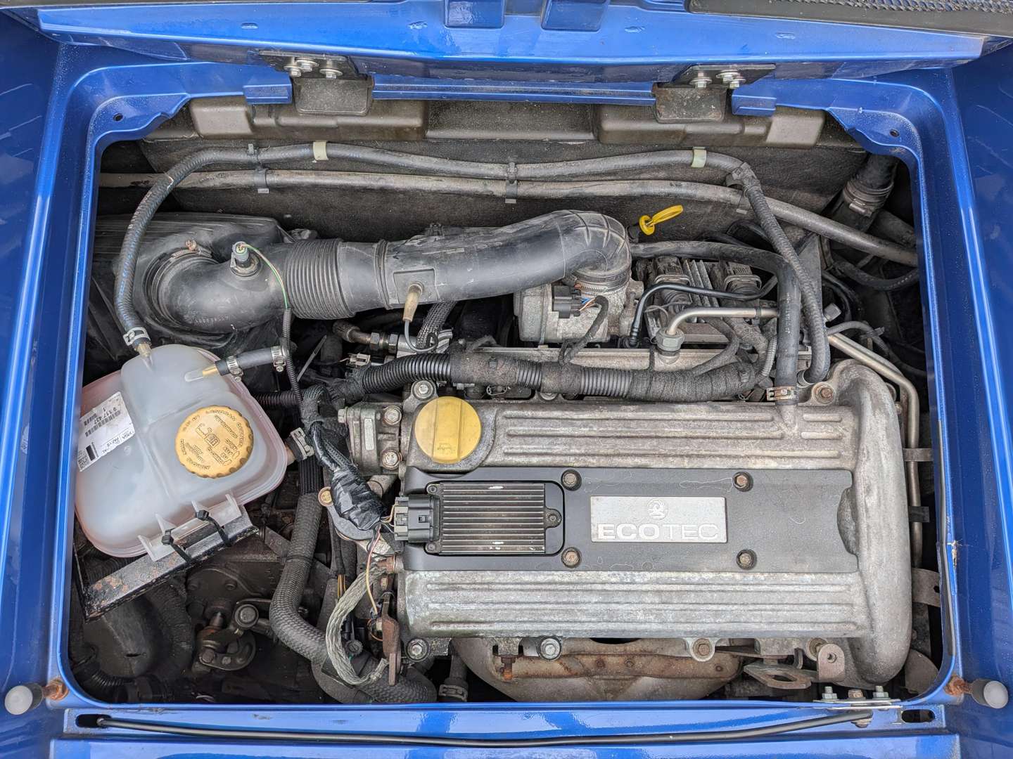 <p>2001 VAUXHALL VX 220 CONVERTIBLE</p>