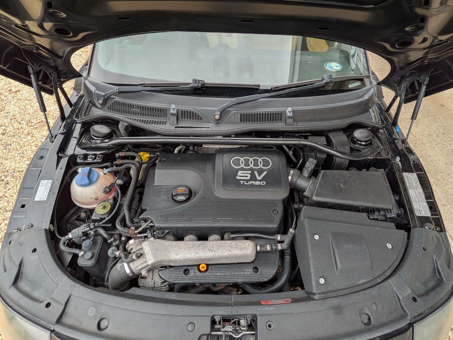 <p>2005 AUDI TT</p>