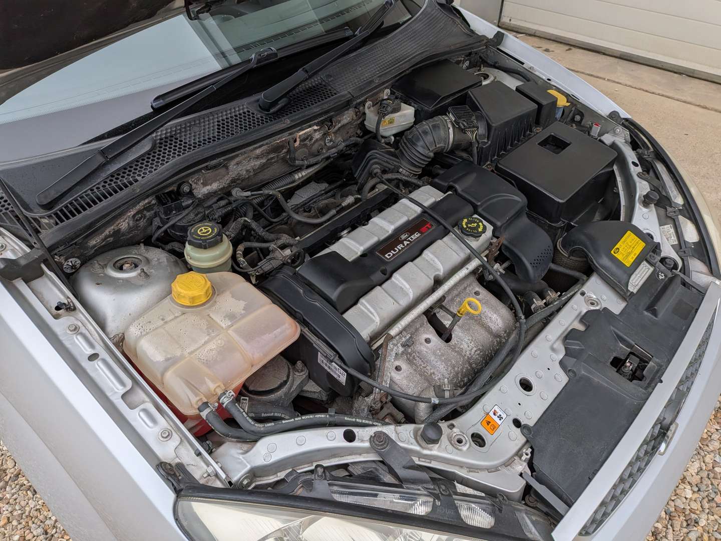<p>2004 FORD FOCUS ST170</p>