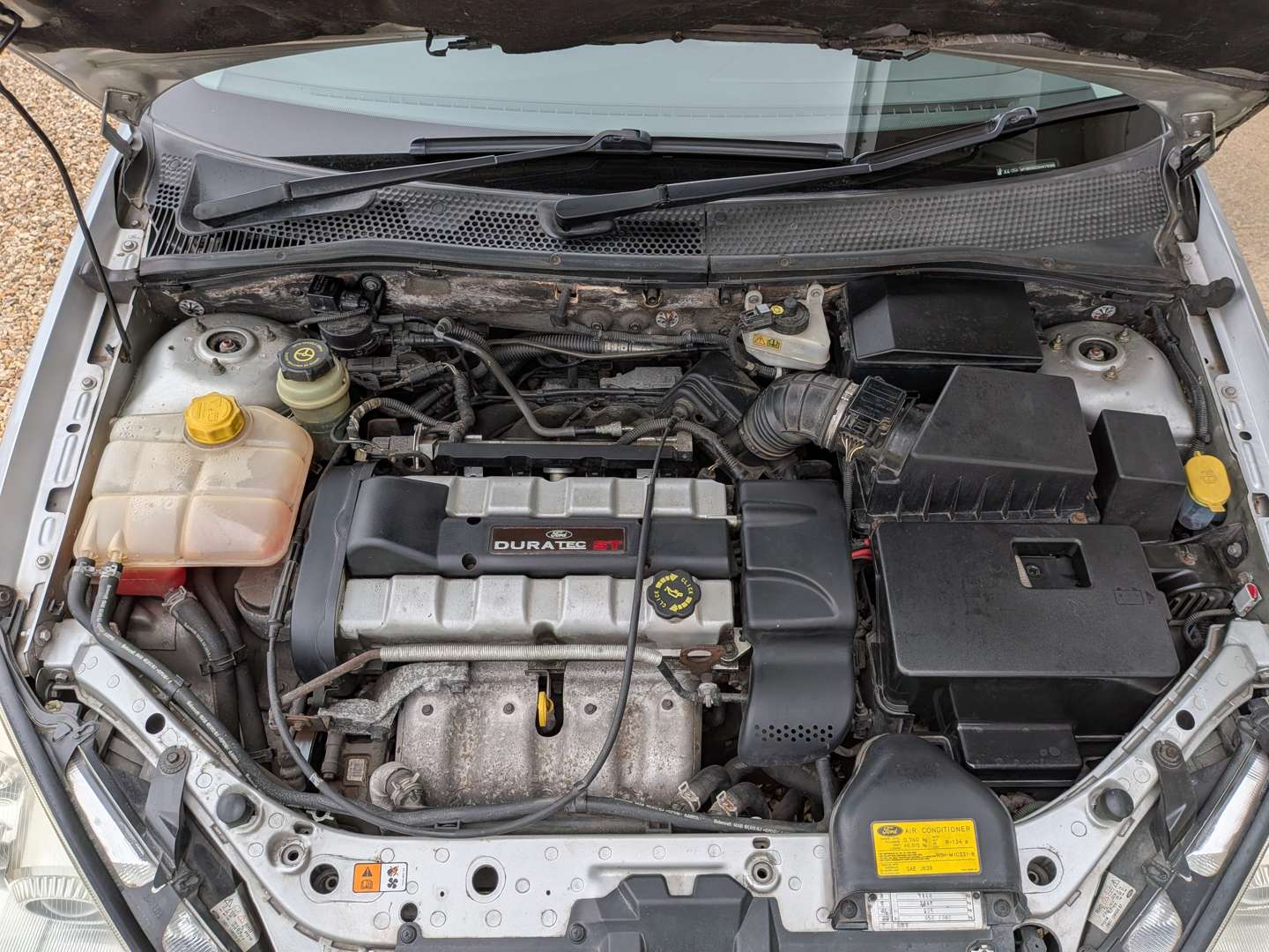<p>2004 FORD FOCUS ST170</p>