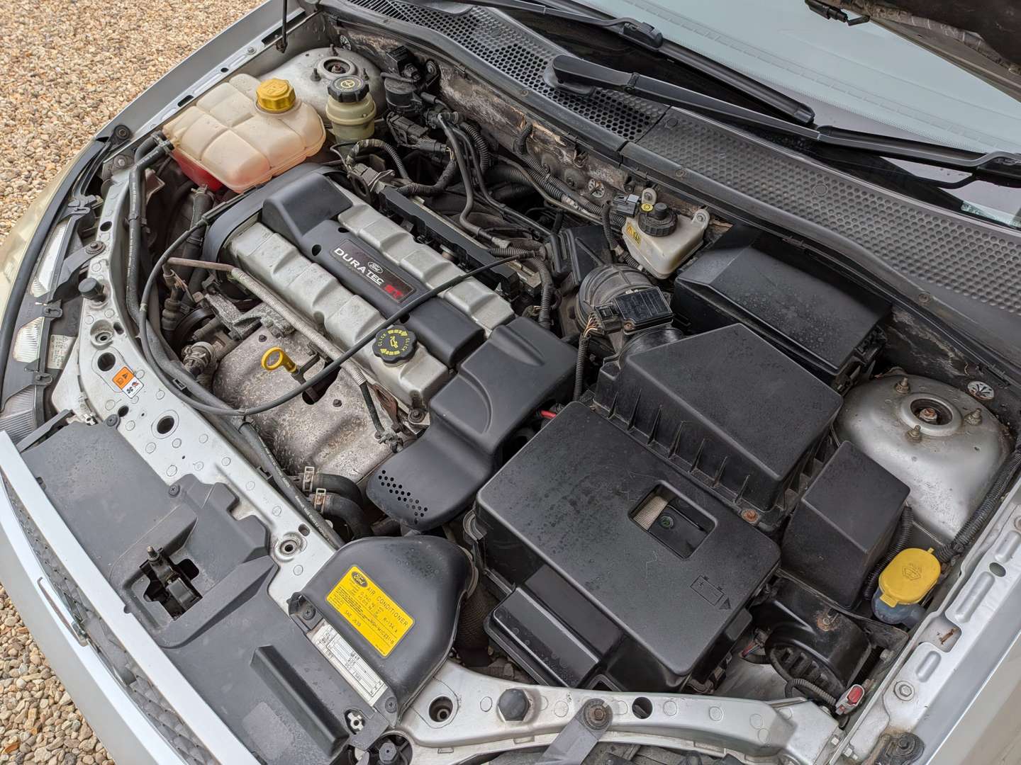 <p>2004 FORD FOCUS ST170</p>