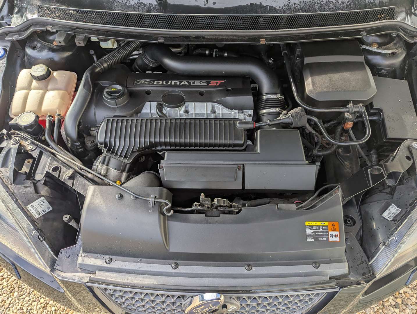 <p>2008 FORD FOCUS ST 500</p>