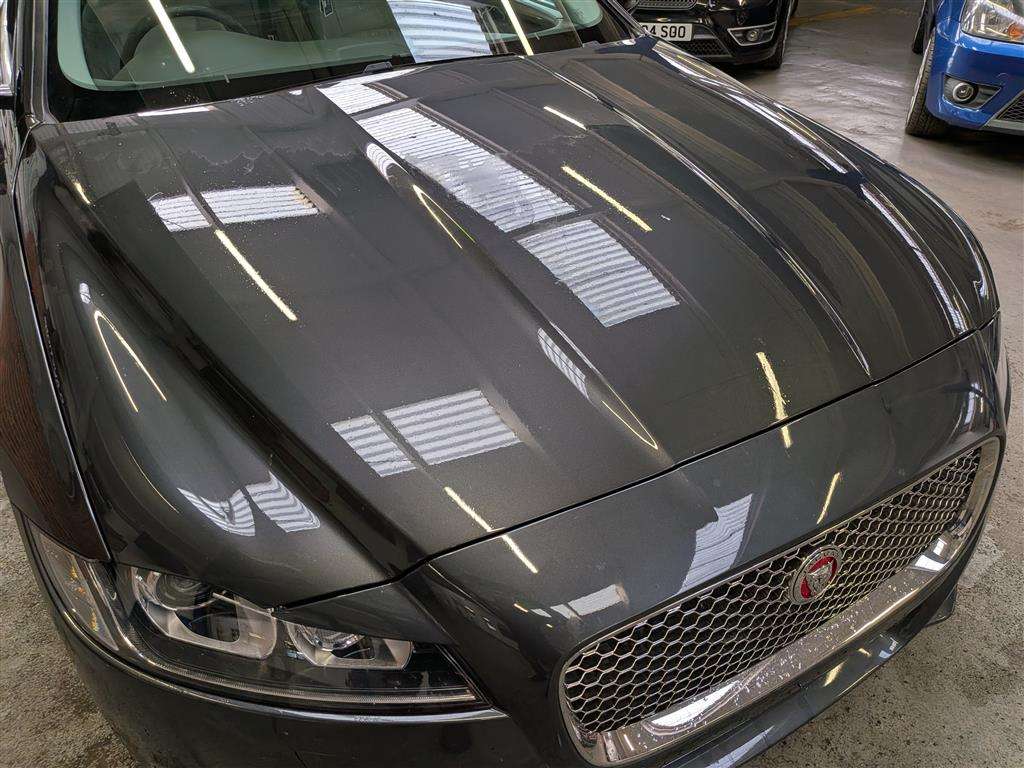 <p>2017 JAGUAR XF PORTFOLIO D AUTO</p>