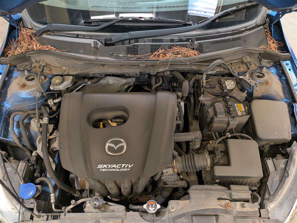 <p>2016 MAZDA 2 SE-L</p>
