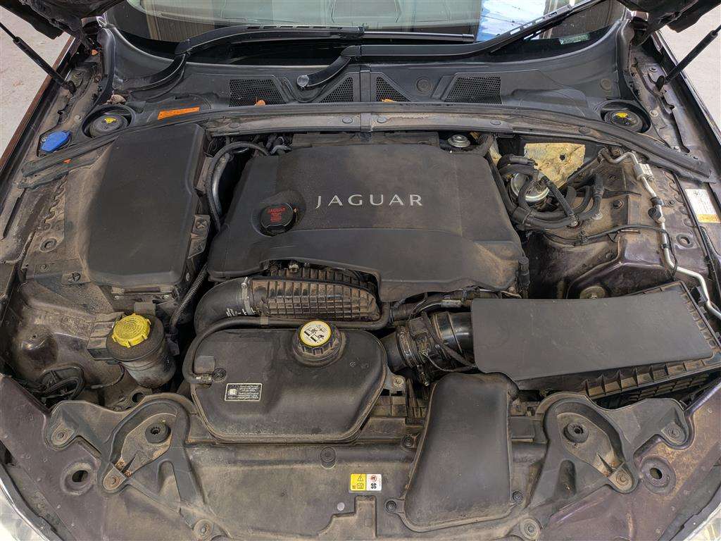 <p>2010 JAGUAR XF PREMIUM LUXURY V6 AUTO</p>