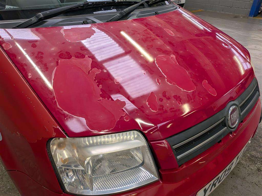 <p>2009 FIAT PANDA ELEGANZA S-A</p>