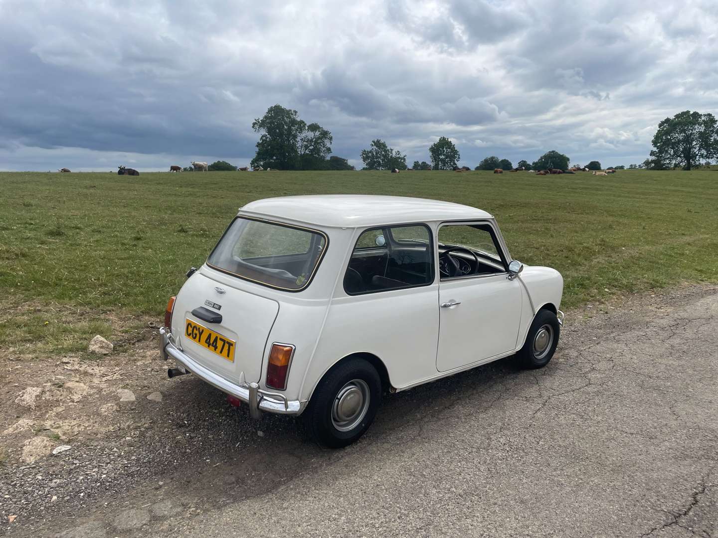 <p>1979 AUSTIN MORRIS MINI 850</p>