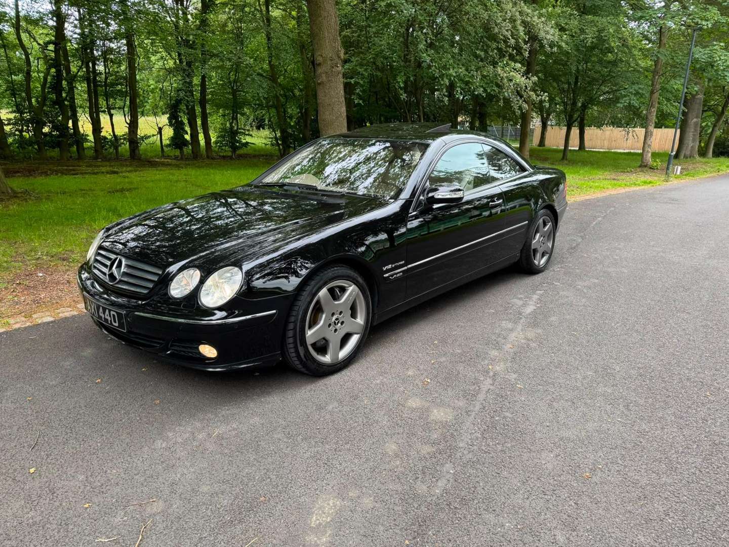 <p>2003 MERCEDES CL600 C215 AUTO</p>