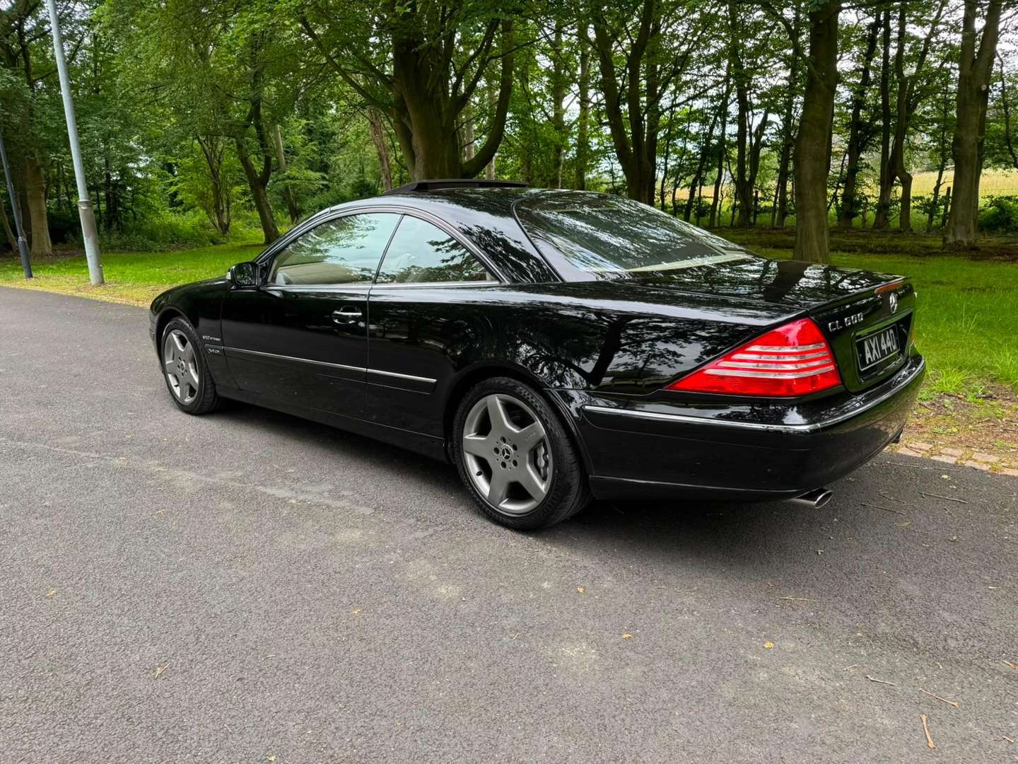 <p>2003 MERCEDES CL600 C215 AUTO</p>