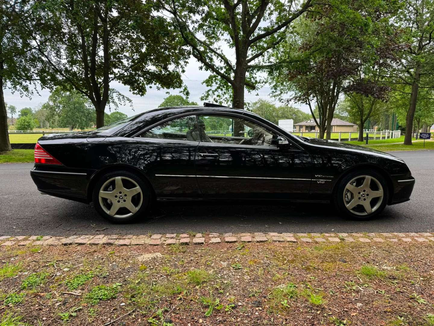 <p>2003 MERCEDES CL600 C215 AUTO</p>