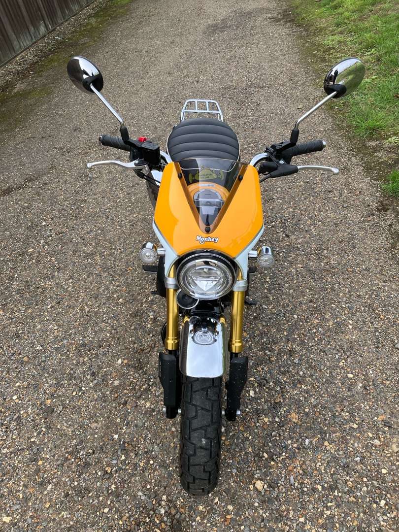<p>2019 HONDA Z 125 MONKEY BIKE</p>