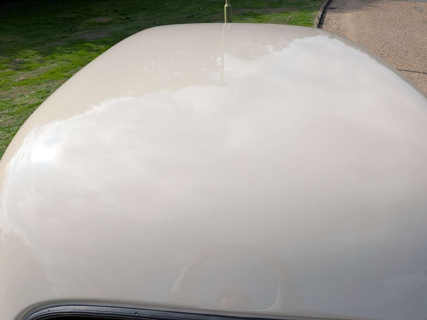 <p>1950 VAUXHALL VELOX</p>