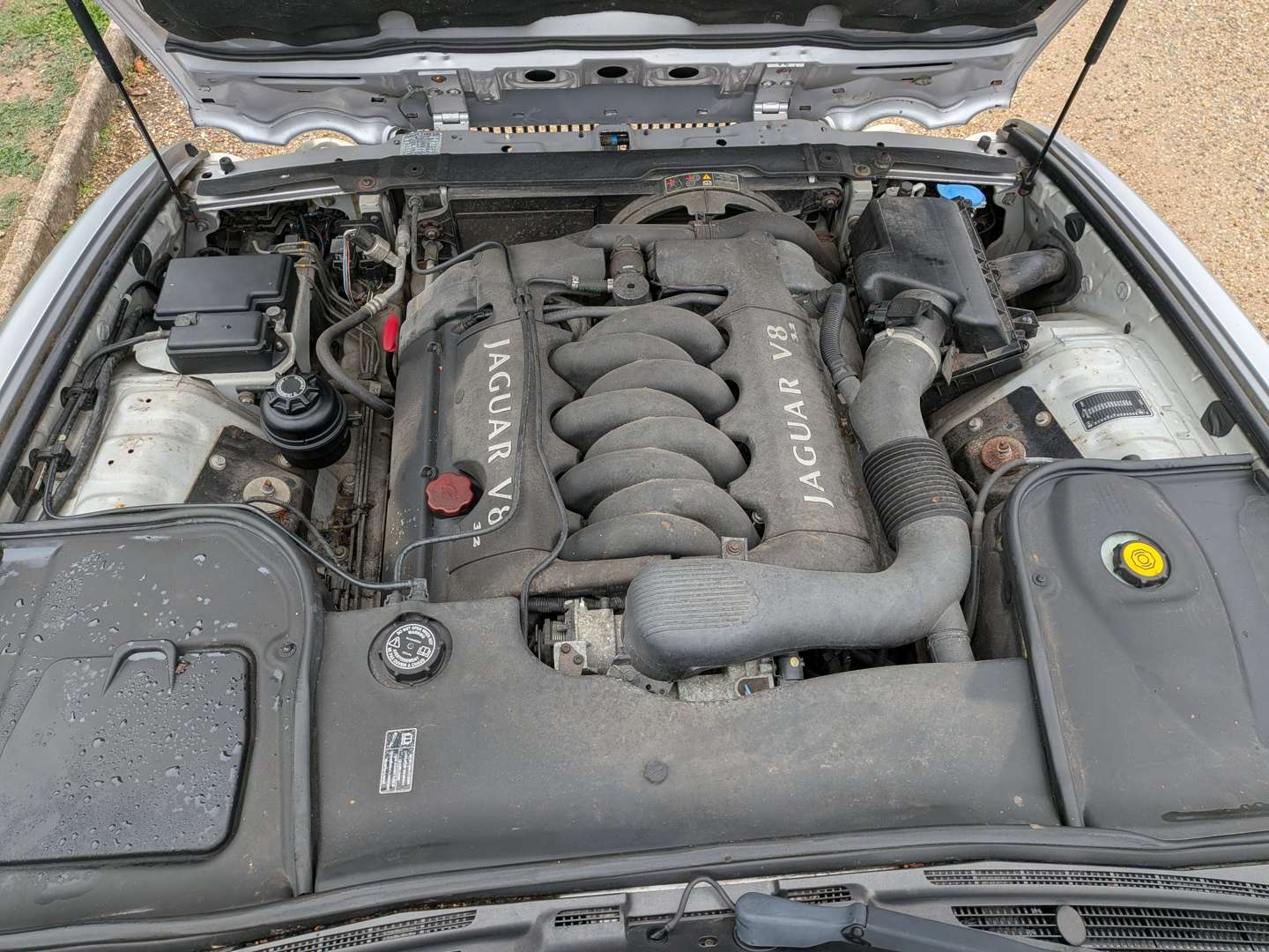<p>2000 JAGUAR XJ8 AUTO</p>