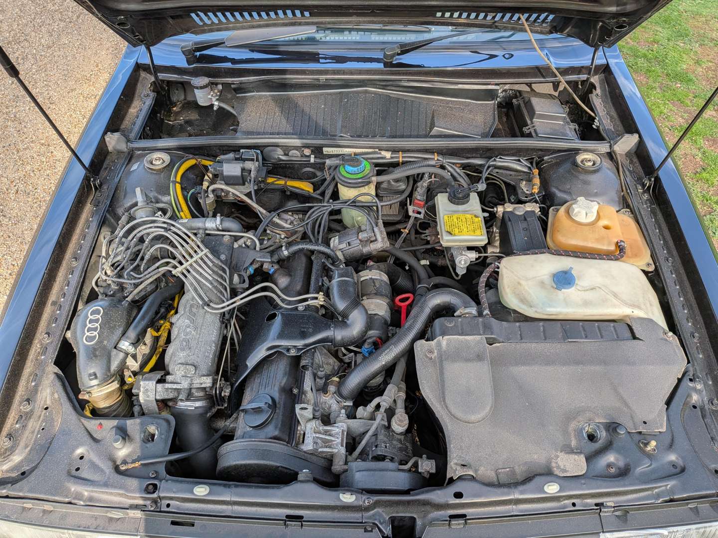 <p>1988 AUDI QUATTRO TURBO</p>
