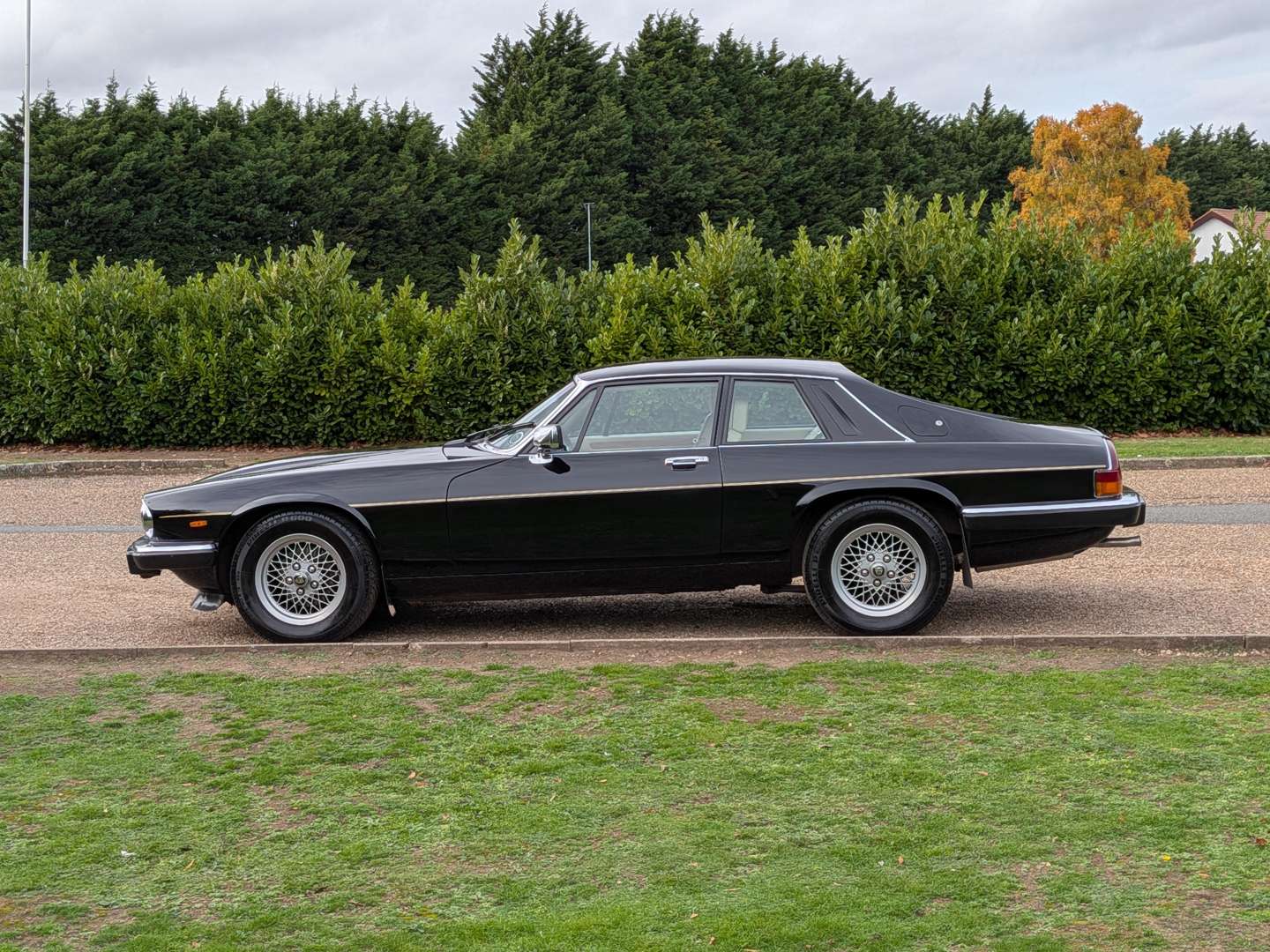 <p>1989 JAGUAR XJS 3.6</p>