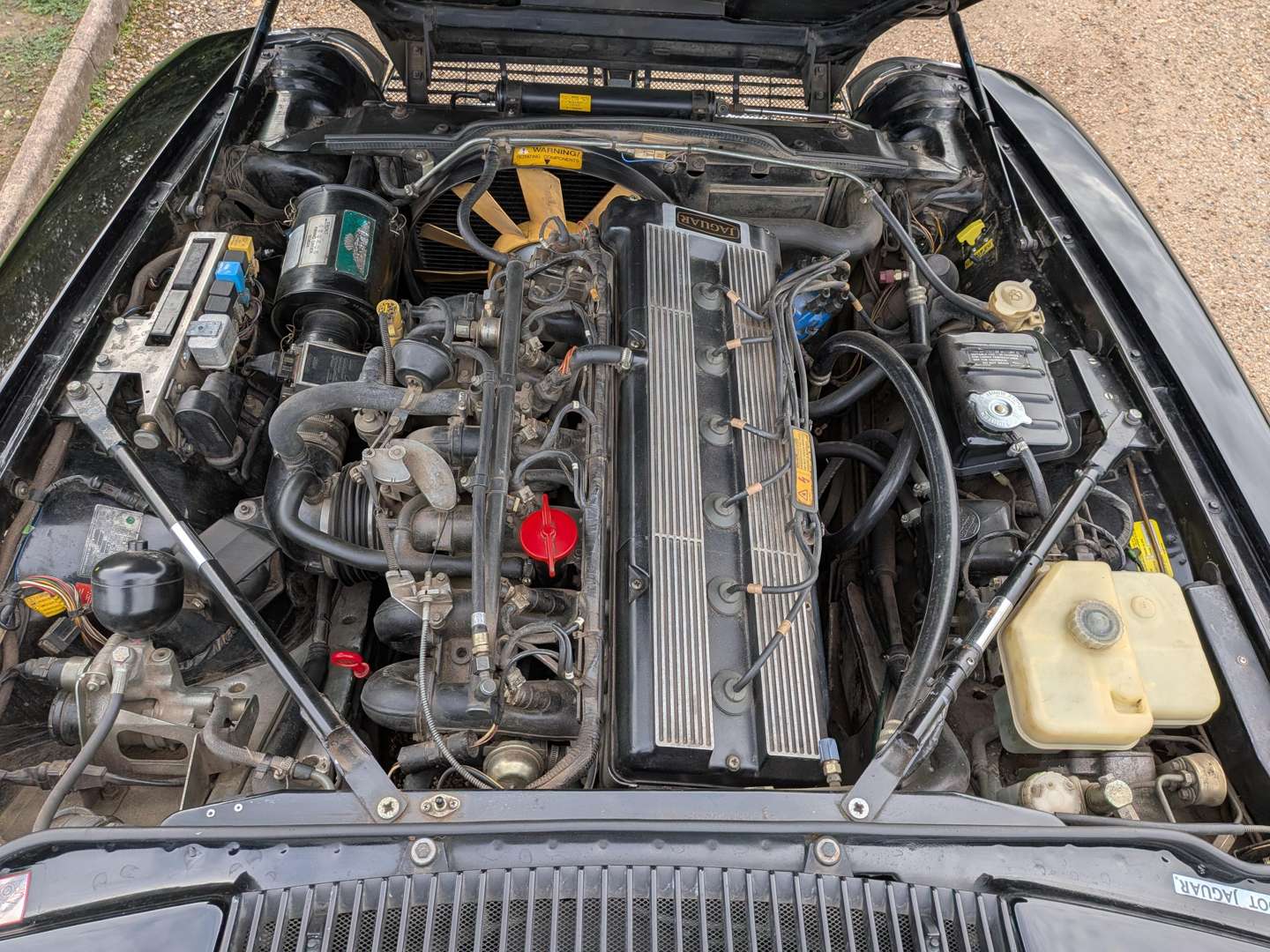 <p>1989 JAGUAR XJS 3.6</p>